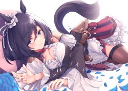 Rule 34 | 1girl, animal ears, black eyes, black hair, blue eyes, breasts, brown thighhighs, choker, cleavage, closed mouth, commentary request, eishin flash (umamusume), fingernails, hair between eyes, highres, horse ears, horse girl, horse tail, looking at viewer, lying, medium breasts, narushima kanna, on side, pillow, red choker, red skirt, short hair, simple background, skirt, smile, solo, striped clothes, striped skirt, tail, thighhighs, umamusume, vertical-striped clothes, vertical-striped skirt, white background