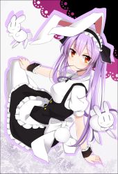 Rule 34 | 1girl, alternate costume, alternate hairstyle, apron, arm support, bad id, bad pixiv id, blush, bow, bowtie, breasts, collared shirt, enmaided, hair in own mouth, hand on own knee, inaba mob (touhou), light purple hair, long hair, looking at viewer, maid, maid apron, maid headdress, medium breasts, rabbit, rabbit tail, red eyes, reisen udongein inaba, shirt, sitting, tail, thighhighs, touhou, twintails, white thighhighs, wrist cuffs, xialuluo (sharuro)