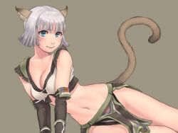 Rule 34 | 1girl, animal ear fluff, animal ears, adventurer (ff11), blue eyes, blunt bangs, breasts, brown tail, cactus41747280, cat ears, cat girl, cat tail, cleavage, closed mouth, facial mark, final fantasy, final fantasy xi, green background, grey hair, highres, loincloth, medium breasts, mithra (ff11), navel, parted bangs, pink pupils, short hair, simple background, smile, solo, tail, tail raised, whisker markings