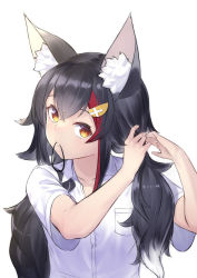 Rule 34 | 1girl, absurdres, alternate costume, animal ear fluff, animal ears, black hair, casual, closed mouth, collared shirt, commentary, hair between eyes, hair ornament, hair tie in mouth, highres, hololive, long hair, looking at viewer, mouth hold, multicolored hair, ookami mio, orange eyes, red hair, shirt, short sleeves, simple background, solo, streaked hair, two-tone hair, tying hair, upper body, virtual youtuber, white background, white shirt, wing collar, wolf ears, yamabuki7979