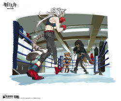 Rule 34 | 3girls, animal ears, arknights, artist request, belt, black gloves, black pants, blue eyes, blue footwear, blue shorts, blue sports bra, body fur, boxing gloves, boxing ring, bridal gauntlets, brown fur, brown hair, chain, chinese commentary, commentary request, crossed arms, dark-skinned female, dark skin, flint (arknights), full body, furry, furry female, glasses, gloves, grin, hood, hood up, indoors, indra (arknights), long hair, looking at another, multicolored fur, multicolored hair, multiple girls, official art, orange eyes, orange fur, orange hair, pants, pantyhose, pelvic curtain, punching bag, red belt, red footwear, red gloves, shorts, smile, sports bra, standing, tail, tiger ears, tiger girl, tiger tail, tinted eyewear, torn clothes, torn legwear, waai fu (arknights), white fur, white hair