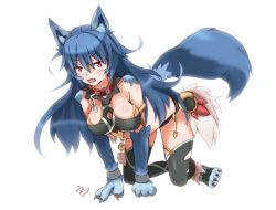 Rule 34 | 10s, 1girl, all fours, animal ears, blue hair, blush, breasts, claws, collar, fang, fooring, froze (monster musume), long hair, monster girl, monster musume no iru nichijou, monster musume no iru nichijou online, open mouth, pink eyes, simple background, solo, tail, white background, wolf ears, wolf girl, wolf paws, wolf tail
