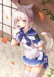 Rule 34 | 1girl, animal ears, autumn leaves, bad id, bad pixiv id, bell, blue sailor collar, blue skirt, blurry, blurry foreground, blush, braid, breasts, brick wall, cat ears, cat girl, cat tail, cleavage, collared shirt, commentary request, depth of field, facial mark, final fantasy, final fantasy xiv, gloves, grey eyes, hair between eyes, hand up, heterochromia, highres, holding, jewelry, leaf, long hair, looking at viewer, low twintails, maple leaf, miqo&#039;te, mouth hold, petals, pleated skirt, red ribbon, ribbon, sailor collar, school uniform, serafuku, shirt, short sleeves, sidelocks, silver hair, skindentation, skirt, small breasts, solo, standing, tail, tail bell, tail ornament, tail raised, tail ribbon, thighhighs, twintails, whisker markings, white gloves, white shirt, white thighhighs, window, yellow eyes, yuxian youka