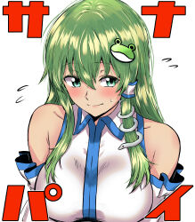 Rule 34 | 1girl, absurdres, bare shoulders, blush, breasts, detached sleeves, flying sweatdrops, frog hair ornament, green eyes, green hair, hair ornament, highres, japanese clothes, kochiya sanae, large breasts, long hair, looking to the side, miko, nontraditional miko, puffy sleeves, sen (daydream 53), shirt, shy, simple background, snake hair ornament, solo, sweat, touhou, upper body, white background, white shirt