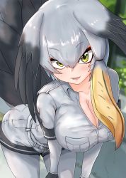 Rule 34 | 1girl, akaisuto, alternate breast size, bad id, bad pixiv id, belt, bird tail, black gloves, black hair, blurry, blurry background, bodystocking, breast pocket, breasts, breasts squeezed together, cleavage, collarbone, collared shirt, commentary request, day, gloves, green eyes, grey hair, grey shirt, grey shorts, hair between eyes, hair intakes, highres, kemono friends, large breasts, layered sleeves, leaning forward, long hair, long sleeves, looking at viewer, multicolored hair, no neckwear, open mouth, orange hair, outdoors, partially unzipped, pocket, seductive smile, shirt, shoebill (kemono friends), short over long sleeves, short sleeves, shorts, sidelocks, smile, solo, standing, tail, wing collar, zipper
