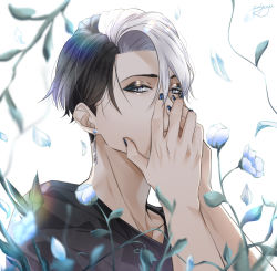 Rule 34 | 1boy, artist name, black hair, black nails, black shirt, divus crewel, earrings, eyeshadow, falling petals, fingernails, flower, fuyu tomatomato, grey eyes, hands on own face, highres, jewelry, looking at viewer, makeup, male focus, multicolored hair, nail polish, petals, shirt, short hair, solo, twisted wonderland, two-tone hair, upper body, white background, white flower, white hair, white petals
