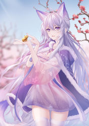 Rule 34 | 1girl, :d, absurdres, animal ear fluff, animal ears, antenna hair, breasts, cloak, extra ears, flower, fox ears, fox girl, fox tail, grey hair, hair between eyes, highres, holding, kirby d a, long hair, looking at viewer, open mouth, original, plum blossoms, purple eyes, smile, solo, tail, thigh gap, translucent, very long hair, white hair