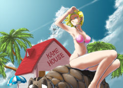 Rule 34 | 1girl, android, android 18, armpits, beach umbrella, bikini, blonde hair, blue eyes, breasts, cloud, coconut, coconut tree, contrail, day, dragon ball, dragonball z, earrings, front-tie top, jewelry, kame house, looking away, medium breasts, navel, noizu, noizu (tragon), palm tree, pink bikini, sitting, sky, swimsuit, tree, turtle, umbrella, umigame (dragon ball), weather vane