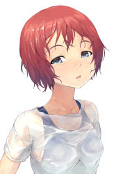 Rule 34 | 1girl, bad id, bad pixiv id, black eyes, highres, maeda risou, one-piece swimsuit, original, red hair, school swimsuit, see-through, short hair, simple background, solo, swimsuit, swimsuit under clothes, upper body, wet, wet clothes, white background