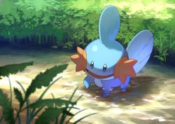 Rule 34 | blue eyes, blurry, commentary request, creatures (company), day, full body, game freak, gen 3 pokemon, highres, ichihara yuuto, leaf, looking down, mudkip, nintendo, no humans, open mouth, outdoors, pokemon, pokemon (creature), solo, tongue, wading, water