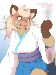 Rule 34 | anger vein, artist request, blue eyes, borrowed character, brown hair, furry, highres, japanese clothes, punching, raccoon