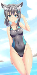 Rule 34 | 1girl, animal ear fluff, animal ears, black one-piece swimsuit, blue archive, blue eyes, blue sky, breasts, cloud, commentary request, competition swimsuit, covered navel, cowboy shot, cross hair ornament, day, extra ears, grey hair, hair ornament, halo, highres, hizuki aki, horizon, low ponytail, medium breasts, medium hair, mismatched pupils, multicolored clothes, multicolored swimsuit, ocean, one-piece swimsuit, outdoors, shiroko (blue archive), shiroko (swimsuit) (blue archive), sky, solo, swimsuit, water, wet, wet clothes, wet swimsuit