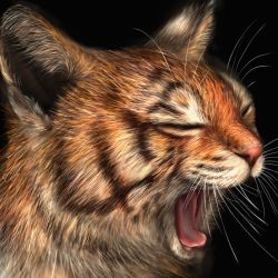 Rule 34 | absurdres, animal, animal focus, black background, cat, close-up, commentary, closed eyes, highres, nekodosaiun, no humans, open mouth, original, photorealistic, realistic, simple background, tiger, tongue, yawning