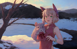 Rule 34 | 1girl, animal, animal request, antica (bigrbear), bare tree, bigrbear, blonde hair, bracelet, china dress, chinese clothes, chinese new year, cloud, dress, evening, green eyes, headgear, highres, holding, holding animal, jewelry, medium hair, mountain, mountainous horizon, open mouth, original, outdoors, path, red dress, road, sleeveless, smile, snow, solo, standing, translation request, tree, branch, wavy hair, winter