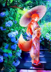 Rule 34 | 1girl, alternate costume, animal ear fluff, animal ears, back bow, blue flower, bow, brown hair, commentary request, flower, fudo shin, full body, grin, highres, holding, holding umbrella, holo, hydrangea, japanese clothes, kimono, long hair, looking at viewer, oil-paper umbrella, print kimono, red bow, red eyes, signature, smile, solo, spice and wolf, standing, straight hair, tabi, tail, umbrella, white legwear, white umbrella, wolf ears, wolf tail