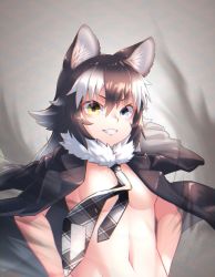 Rule 34 | &gt;:), 10s, 1girl, akuma (st.takuma), aliasing, animal ear fluff, animal ears, black hair, blue eyes, breasts, chromatic aberration, convenient censoring, fang, fur collar, grey wolf (kemono friends), grin, hair between eyes, hands on own hips, heterochromia, jacket, jacket on shoulders, kemono friends, long hair, looking at viewer, multicolored hair, naked jacket, navel, necktie, nude, open clothes, open jacket, out-of-frame censoring, plaid necktie, plaid neckwear, sidelocks, smile, solo, stomach, two-tone hair, upper body, v-shaped eyebrows, white hair, wolf ears, wolf girl, yellow eyes