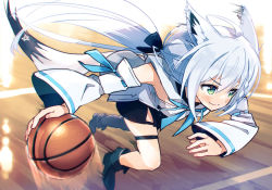 Rule 34 | 1girl, ahoge, animal ear fluff, animal ears, ball, basketball, basketball (object), black shorts, commentary, commentary request, detached sleeves, fox ears, fox girl, fox tail, green eyes, hair between eyes, hair ribbon, hololive, hood, hoodie, long hair, motion lines, ribbon, running, sakino shingetsu, shirakami fubuki, shirakami fubuki (1st costume), shorts, single thighhigh, solo, tail, thigh strap, thighhighs, virtual youtuber, white hair, white hoodie