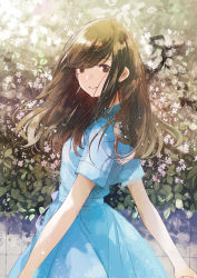 Rule 34 | 1girl, :d, blue dress, brown eyes, brown hair, dress, floral background, flower, fly 333, hair over eyes, leaf, looking at viewer, looking to the side, matching hair/eyes, open mouth, original, sash, short sleeves, smile, solo, standing