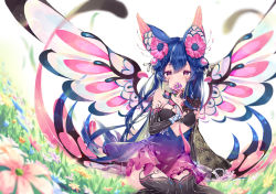 Rule 34 | 1girl, animal ears, arm at side, artist name, bare shoulders, black dress, black thighhighs, blue flower, blue hair, blush, braid, breasts, bridal gauntlets, butterfly wings, covered mouth, daefny, double bun, dress, eyelashes, fairy, fingernails, flower, flower over mouth, gradient eyes, grass, hair between eyes, hair bun, hair flower, hair ornament, hand up, highres, holding, holding flower, insect wings, long hair, looking at viewer, makeup, mascara, multicolored eyes, multicolored wings, nail polish, orange flower, original, pink flower, purple eyes, purple flower, purple nails, short dress, side braids, sidelocks, sitting, small breasts, solo, spread wings, striped clothes, striped thighhighs, thighhighs, vertical-striped clothes, vertical-striped thighhighs, very long hair, wariza, white background, wings, yellow eyes