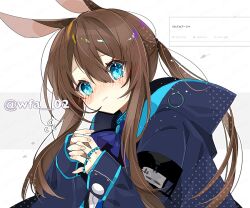Rule 34 | 1girl, amiya (arknights), animal ears, arknights, artist name, blue eyes, blue jacket, blush, brown hair, closed mouth, commentary request, hair between eyes, itsuki 02, jacket, jewelry, long hair, long sleeves, multiple rings, nose blush, ponytail, rabbit ears, rabbit girl, ring, sidelocks, solo, twitter username, upper body