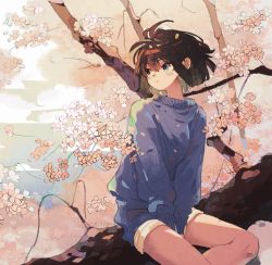 Rule 34 | 1girl, between legs, blue eyes, blue sweater, blush, branch, brown hair, cherry blossoms, hand between legs, highres, ka (marukogedago), looking to the side, original, parted lips, short hair, shorts, sitting, solo, sweater, yellow shorts