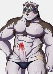 Rule 34 | 1boy, abs, ainu clothes, animal ears, bara, black male swimwear, black one-piece swimsuit, black swim briefs, blush, bulge, chest hair, cowboy shot, erection, furry, furry male, grey fur, grey hair, groin, hand on own hip, headband, highres, horkeu kamui, kawara gawara, large pectorals, looking at viewer, male focus, male swimwear, multicolored hair, muscular, muscular male, navel, nipples, one-piece swimsuit, one eye closed, pectorals, penis, scar, scar on chest, scar on leg, short hair, skindentation, solo, standing, stomach, sweatdrop, swim briefs, swimsuit, tail, thick thighs, thighs, tokyo houkago summoners, topless male, two-tone fur, two-tone hair, uncensored, unconventional male swimwear, wolf boy, wolf ears, wolf tail, yellow eyes