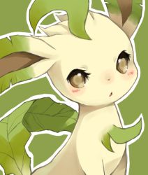 Rule 34 | animal focus, blush, brown eyes, creatures (company), game freak, gen 4 pokemon, green background, green theme, leafeon, looking at viewer, nintendo, no humans, notched ear, open mouth, outline, pokemon, pokemon (creature), puddingx2, simple background, solo, upper body, white outline