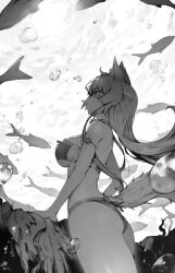 Rule 34 | 1girl, air bubble, animal ear fluff, animal ears, arm strap, arm support, ass, bare shoulders, bell, bikini, breasts, bubble, cat ears, cat girl, cat tail, coconut (nekopara), commentary, commission, cowboy shot, curvy, english commentary, fish, floating hair, from side, greyscale, highres, jingle bell, large breasts, long hair, looking up, monochrome, neck bell, nekopara, parted lips, profile, rou (rou22), sideboob, sidelocks, solo, standing, straight hair, swimsuit, tail, underwater, water