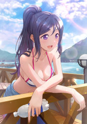 Rule 34 | 1girl, bikini, birthday, bottle, breasts, cleavage, cloud, cloudy sky, collarbone, commentary request, highres, large breasts, long hair, love live!, love live! sunshine!!, matsuura kanan, ocean, ponytail, purple eyes, purple hair, shamakho, sidelocks, sky, solo, swimsuit, water bottle