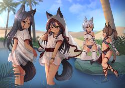 Rule 34 | 4girls, :d, absurdres, animal ear fluff, animal ears, black hair, blurry, breasts, brown eyes, brown hair, cat ears, cat tail, day, depth of field, dress, fang, fangs, flat chest, grey eyes, highres, hotel01, looking at viewer, multicolored hair, multiple girls, oasis, open mouth, original, outdoors, palm tree, ponytail, sandals, see-through, see-through dress, short dress, short hair, short sleeves, small breasts, smile, soaking feet, streaked hair, tail, thighhighs, tiger ears, tiger tail, tree, two-tone hair, veil, wading, water, wet, wet clothes, wet dress, white hair