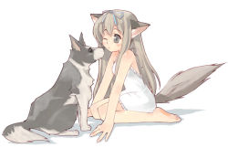 Rule 34 | animal ears, barefoot, brown hair, dog, dog ears, dog tail, dress, grey eyes, halterneck, long hair, simple background, solo, tail, white background, wolf, wolf ears