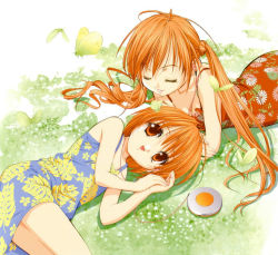 Rule 34 | 00s, 2girls, breasts, bug, butterfly, cleavage, dress, closed eyes, grass, happy, bug, kaho (sister princess), long hair, lying, multiple girls, on side, on stomach, orange eyes, orange hair, sakuya (sister princess), short hair, siblings, sister princess, sisters, small breasts, smile, tenhiro naoto, twintails