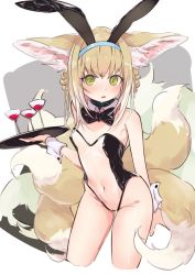 Rule 34 | 1girl, animal ear fluff, animal ears, arknights, blonde hair, blush, bow, bowtie, braid, braided hair rings, breasts, cup, detached collar, drinking glass, fennec fox, green eyes, grey background, hair rings, highleg, highleg leotard, highres, infection monitor (arknights), leotard, long hair, meme attire, multiple tails, open mouth, playboy bunny, rabbit ears, see-through, see-through leotard, sleeve cuffs, small breasts, solo, suzuran (arknights), tail, thighs, traditional bowtie, translucent bunnysuit, twin braids, white background, yakurope-moko