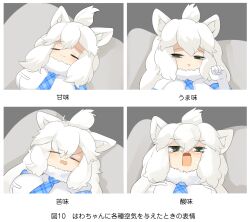 Rule 34 | 1girl, :3, animal ear fluff, animal ears, blue necktie, blush, breasts, closed eyes, closed mouth, commentary request, fur collar, grey eyes, half-closed eyes, highres, kemono friends, large breasts, lets0020, lion ears, lion girl, long hair, looking at viewer, medium bangs, necktie, open mouth, plaid necktie, shirt, smile, translation request, upper body, white hair, white lion (kemono friends), white shirt