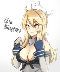 Rule 34 | 10s, 1girl, animal, animal on head, bare shoulders, batsubyou, blonde hair, blue eyes, breasts, cat, cat on head, cleavage, elbow gloves, fingerless gloves, gloves, hayabusa (vert 320), iowa (kancolle), kantai collection, large breasts, long hair, on head, smile, solo, star-shaped pupils, star (symbol), symbol-shaped pupils, upper body