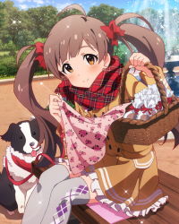 Rule 34 | 10s, 1girl, ahoge, argyle, argyle clothes, argyle legwear, artist request, basket, bench, border collie, bow, brown eyes, brown hair, candy, chocolate, dog, floral print, food, fountain, gift bag, hair bow, hakozaki serika, idolmaster, idolmaster million live!, jacket, junior (idolmaster), leash, official art, outdoors, pet, plaid, plaid scarf, scarf, scenery, side print, sitting, thighhighs, tree, twintails, wrapped food