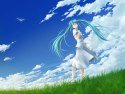 Rule 34 | 1girl, aqua eyes, aqua hair, bird, cloud, day, grass, hand on another&#039;s chest, hand on own chest, hatsune miku, long hair, looking back, mid knight, skirt, sky, solo, twintails, very long hair, vocaloid