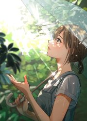 Rule 34 | 1girl, absurdres, blurry, blurry background, blush, brown eyes, brown hair, hand up, highres, holding, holding umbrella, lips, looking up, macaronk, original, outdoors, overalls, parted lips, ponytail, shirt, short hair, short sleeves, solo, standing, sunlight, tree, umbrella, white shirt