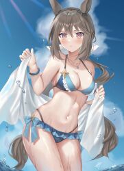Rule 34 | 1girl, admire vega (umamusume), alternate costume, animal ears, bikini, blush, breasts, brown hair, cleavage, commentary, highres, horse ears, horse girl, horse tail, jewelry, looking at viewer, medium breasts, necklace, oshage (osyage921), ponytail, sky, solo, swimsuit, tail, towel, umamusume, water drop, wet