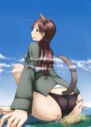 Rule 34 | animal ears, ass, black panties, blush, brown hair, dog ears, dog tail, fart, giant, giantess, highres, huge ass, huge giantess, long hair, minna-dietlinde wilcke, panties, sitting, smell, strike witches, tail, underwear, world witches series