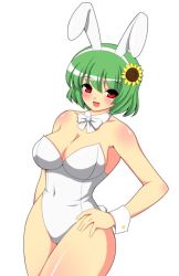 Rule 34 | 1girl, animal ears, bad id, bad pixiv id, bare legs, bow, bowtie, breasts, cleavage, cuffs, female focus, green hair, huge breasts, kazami yuuka, kyokutou hentai samurai, large breasts, leotard, navel, playboy bunny, rabbit ears, smile, solo, thick thighs, thighs, touhou