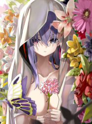 Rule 34 | 1girl, breasts, bug, butterfly, commentary request, convenient censoring, dark sakura, fate/stay night, fate (series), floral background, flower, hair over eyes, heaven&#039;s feel, heterochromia, hood, bug, large breasts, long hair, matou sakura, nude, pale skin, purple eyes, purple hair, shino (eefy), solo