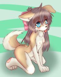Rule 34 | 1girl, blue eyes, breasts, brown hair, dog, female focus, furry, furry female, jpeg artifacts, long hair, small breasts, solo, tongue, wolfeed