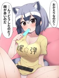 Rule 34 | 1girl, animal ear fluff, animal ears, black hair, blush, breasts, brown eyes, cleavage, common raccoon (kemono friends), controller, food, grey hair, ice cream, kemono friends, large breasts, looking at viewer, multicolored hair, panties, ransusan, remote control, shirt, simple background, sitting, solo, speech bubble, spread legs, striped clothes, striped panties, sweat, t-shirt, tail, translated, underwear, white background, white hair
