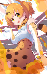 Rule 34 | 1girl, absurdres, animal ear fluff, animal ears, bad id, bad pixiv id, blonde hair, bow, bowtie, breasts, commentary, elbow gloves, extra ears, fur collar, gloves, high-waist skirt, highres, kemono friends, looking at viewer, open mouth, paw pose, print bow, print bowtie, print gloves, print neckwear, print skirt, serval (kemono friends), serval print, serval tail, shirt, short hair, skirt, sleeveless, sleeveless shirt, small breasts, smile, solo, striped tail, tail, takom, traditional bowtie, yellow bow, yellow bowtie, yellow eyes, yellow gloves, yellow skirt