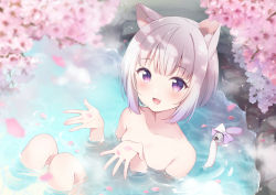 Rule 34 | 1girl, :d, animal ears, bathing, bell, bow, breasts, cat ears, cat girl, cat tail, cherry blossoms, commission, hazuki (sutasuta), indie virtual youtuber, nekome shia, nude, onsen, open mouth, outdoor bath, outdoors, partially submerged, petals, purple eyes, short hair, skeb commission, smile, steam, tail, tail bell, tail bow, tail ornament, virtual youtuber, water, white hair