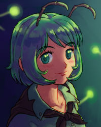 Rule 34 | 1girl, absurdres, antennae, black cape, blush, cape, closed mouth, collared shirt, commentary, fireflies, green background, green eyes, green hair, highres, looking at viewer, portrait, shirt, short hair, smile, solo, touhou, white shirt, wriggle nightbug, zawabug