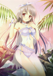 Rule 34 | 1girl, absurdres, bandeau, bikini, blush, bow, breasts, cleavage, front-tie top, hair bow, highres, long hair, megami magazine, megami magazine deluxe, navel, palm tree, red eyes, scan, see-through, silver hair, solo, swimsuit, touto seiro, tree