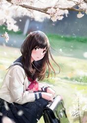 Rule 34 | 1girl, artist name, bad id, bad twitter id, bag, blue skirt, blurry, blurry background, branch, brown eyes, brown hair, cherry blossoms, commentary request, depth of field, highres, holding, holding bag, kazuharu kina, long hair, long sleeves, looking at viewer, neckerchief, original, outdoors, petals, pleated skirt, red neckerchief, sailor collar, school bag, school uniform, serafuku, shirt, signature, sitting, skirt, solo, white shirt