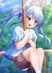 Rule 34 | 1girl, :d, aged down, animal ear fluff, animal ears, blue hair, blue shirt, blurry, blurry background, blush, brown shorts, day, feet out of frame, hair ornament, highres, holding, holding rope, hololive, long hair, magowasabi, motion blur, open mouth, rabbit-shaped pupils, rabbit ears, rabbit girl, rabbit hair ornament, rabbit tail, red eyes, rope, shirt, short eyebrows, short sleeves, shorts, sidelocks, signature, sitting, smile, socks, solo, swing, symbol-shaped pupils, tail, thick eyebrows, twintails, twitter username, usada pekora, virtual youtuber, white socks